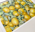 Oryginalna akwarela - Cytryny - obraz ręcznie malowany