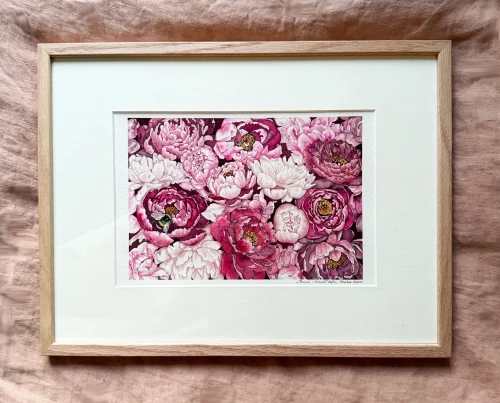Oryginalna akwarela - Peonie - obraz ręcznie malowany