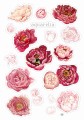 Naklejki - peonie